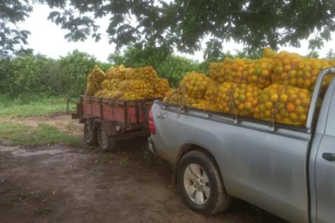 Oficina gratuita ensina produtores rurais de Cabo Frio a precificar corretamente seus produtos