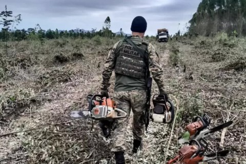 Operação ambiental apreende madeira e equipamentos ilegais em São Pedro da Aldeia