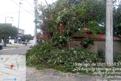 Prefeitura de Cabo Frio autua concessionária de energia por poda irregular de árvores