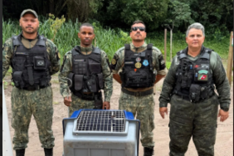 Guarda Marítima e Ambiental resgata duas jiboias em Cabo Frio nesta terça-feira (10)