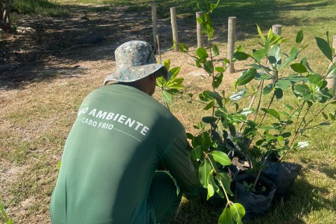 Cabo Frio realiza replantio de mudas de mangue na Praia das Palmeiras