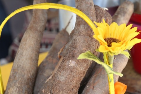 Festival do Aipim movimenta a programação gastronômica da Araruama Expo Agro 2025