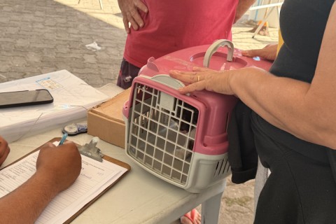 Castramóvel permanece em Tamoios até esta sexta-feira (24) com castração gratuita de cães e gatos