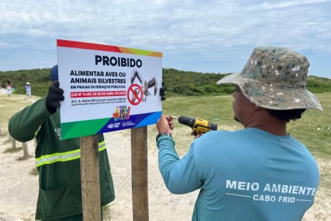 Cabo Frio reforça sinalização sobre riscos e proibição de alimentar gaivotas Hotéis Cabo Frio