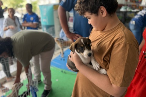 Feira de Adoção Animal acontece neste sábado (26), em Cabo Frio