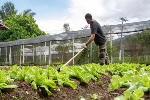 Cadastur em Saquarema passa a contemplar agricultores e comunidades tradicionais