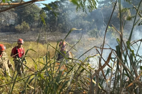 Rio das Ostras está em alerta máximo de risco de incêndios florestais