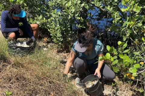 Voluntários fazem ação de limpeza na Laguna de Araruama em Cabo Frio