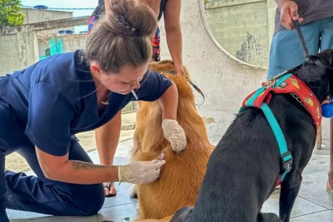 Prefeitura de Cabo Frio realiza nova etapa da Vacinação Antirrábica nesta segunda-feira (13)