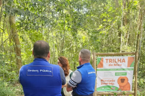 Força-tarefa intensifica ações no Parque Natural Municipal do Mico-Leão-Dourado, em Cabo Frio