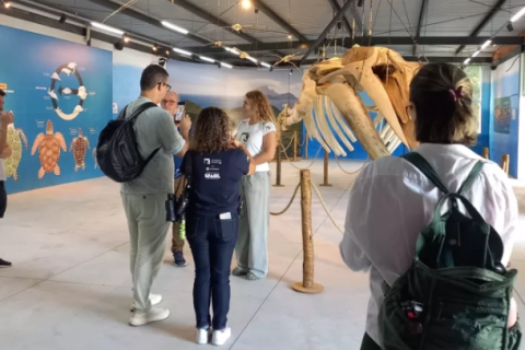 Projeto Albatroz abre inscrições para jovens em Cabo Frio com bolsa mensal de R$ 500