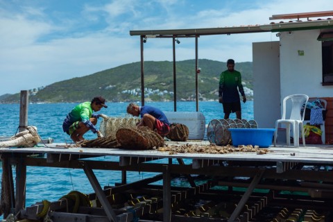 Armação dos Búzios recebe a 2ª edição do Festival da Pesca – Feira de projetos do  Mar para celebrar as riquezas da comunidade pesqueira