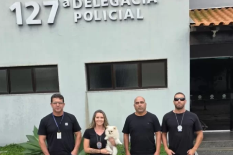 Cadelinha é furtada por casal em moto e encontrada em casa de Cabo Frio