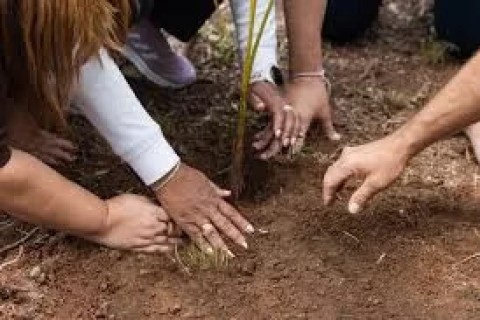 Araruama recebe 7ª edição do Programa Agricultura Social neste sábado (6)