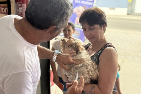 Feira de Adoção Animal terá vacinação antirrábica gratuita neste sábado (22) em Cabo Frio