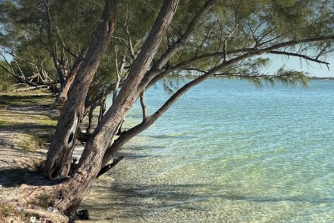 Arraial do Cabo Garante o Selo Bandeira Azul para a Praia Lagunar do Caiçara