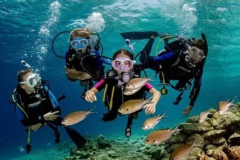 Arraial do Cabo abre vagas para aulas gratuitas de mergulho para jovens de 8 a 16 anos