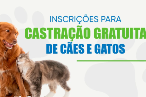 Prefeitura leva Castramóvel Municipal à Rua do Fogo para atender moradores de 11 bairros