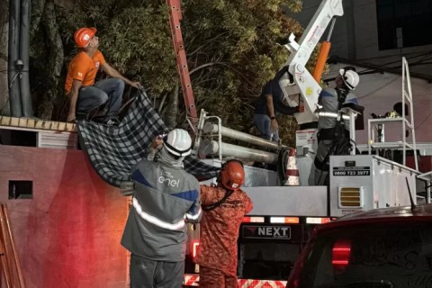Defesa Civil aciona força-tarefa para resgatar gato preso em árvore no centro de Cabo Frio