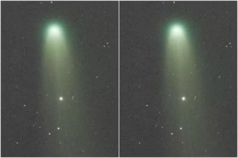 Cometa C/2025 A6 Lemmon promete espetáculo no céu e poderá ser visto a olho nu no Brasil