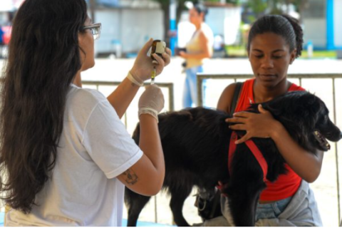 Projeto de castração gratuita para cães e gatos retorna a Cabo Frio