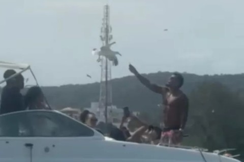 Naldo Benny é flagrado alimentando gaivotas no Canal do Itajuru, em Cabo Frio