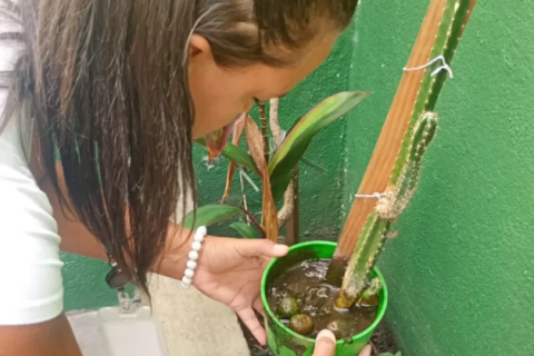 Cabo Frio intensifica combate ao Aedes aegypti após aumento de denúncias