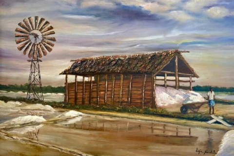 Exposição "Vivências" com inspirações da Região dos Lagos e memórias da infância de Luzia Nametala acontece no Plácio das Águias