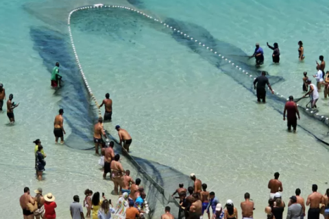 Produção pesqueira de Arraial do Cabo ultrapassa 770 toneladas em 2025