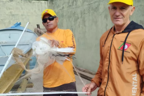 Garça ferida é resgatada pela Guarda Civil Municipal de Cabo Frio