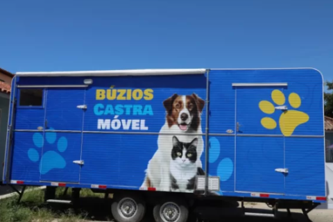 Mutirão de castração em Búzios já atendeu 200 animais; Cem Braças é o próximo destino