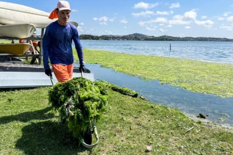 Prefeitura de Cabo Frio realiza retirada de algas mortas na Praia das Palmeiras