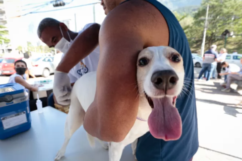 Búzios reforça combate à raiva com vacinação domiciliar para pets