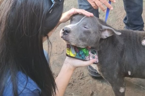 Prefeitura de Cabo Frio realiza resgate de cão em situação de abandono no bairro Cajueiro